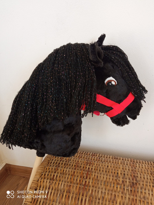 Hobby horse - Frízák — foto 1