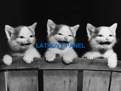 Bavlněný panel 15x20 cm- skladem