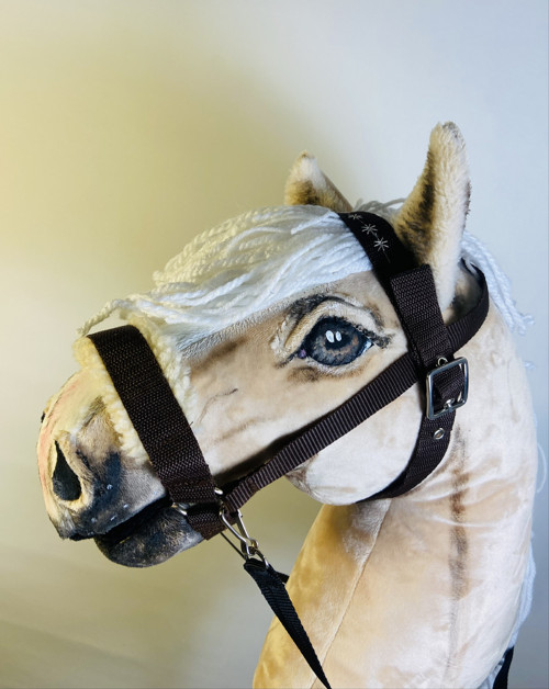 Uzdečka na přání - Hobby horse — foto 1
