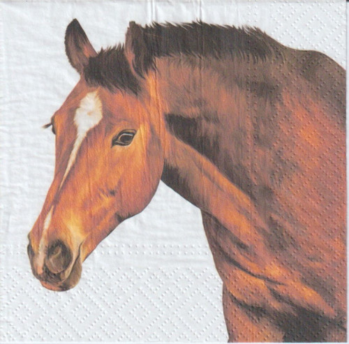 Ubrousek - kůň