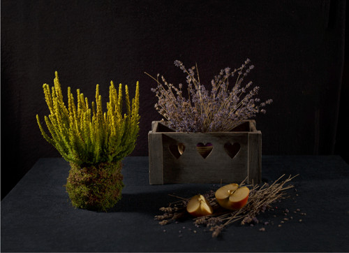 Vřes / kokedama