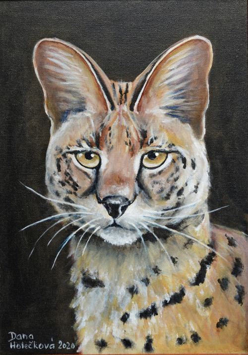 Serval 2 - autorský arch