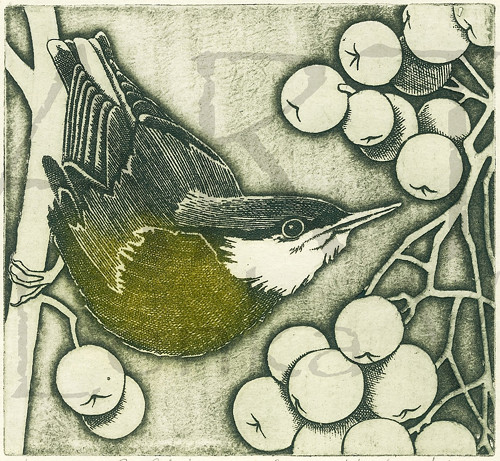 Brhlík — foto 1