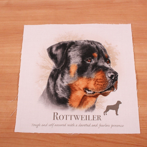 Rotvajler - panel — foto 1