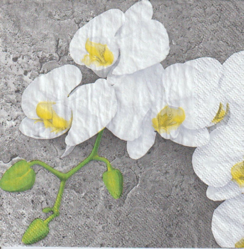 Ubrousek - bílá orchidej — foto 1