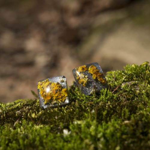 Náušnice lišejník 10 mm — foto 1