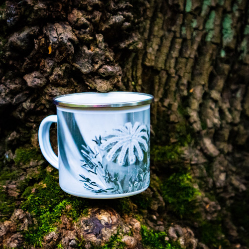 Plecháček Ginel – design Amapola