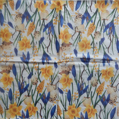 Narcisky a odsúny 3943 — foto 1