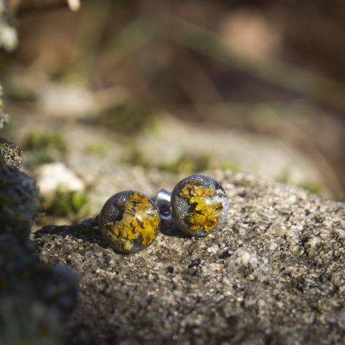 Náušnice lišejník 8 mm — foto 1