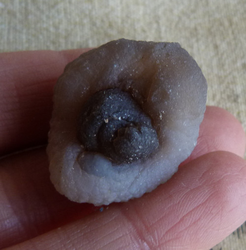 Chalcedon - 3,1 cm — foto 1