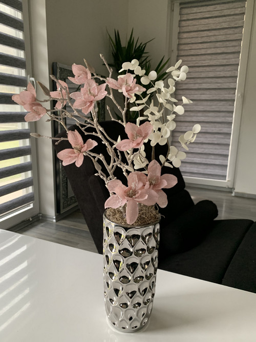 Zasněžené magnolie — foto 1