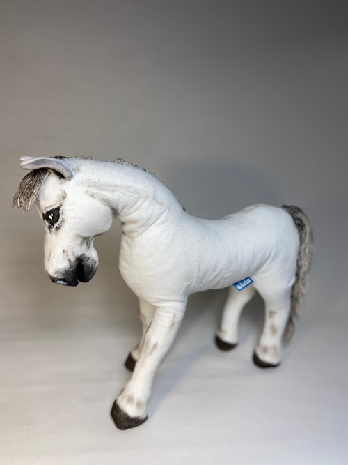 Pony na přání — foto 1