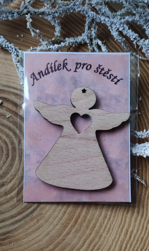 Anděl pro štěstí