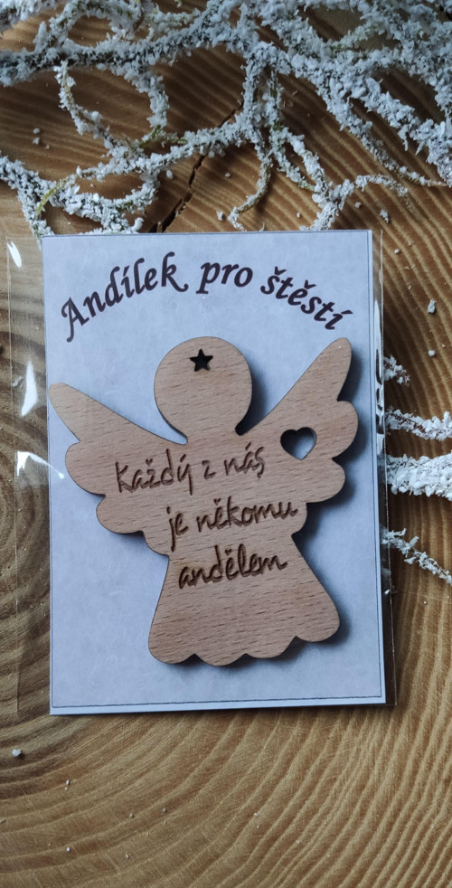 Anděl pro štěstí