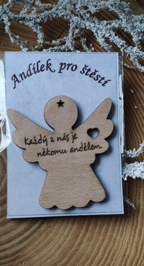 Anděl pro štěstí