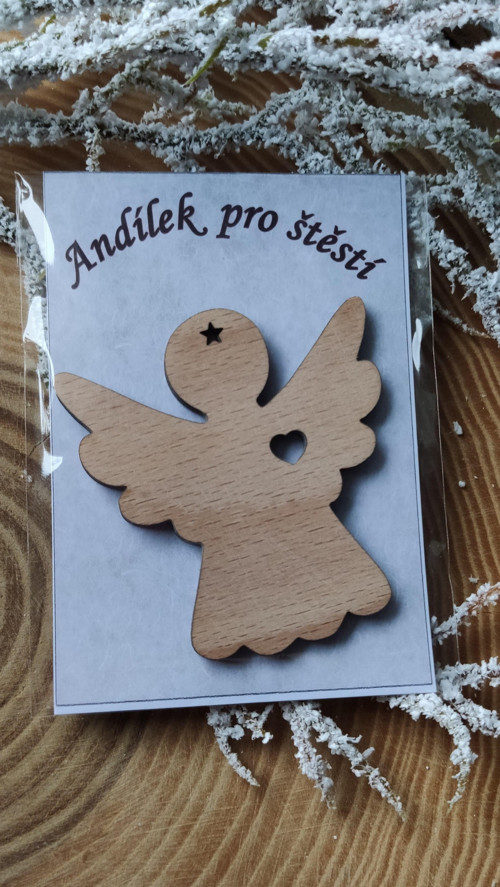 Anděl pro štěstí