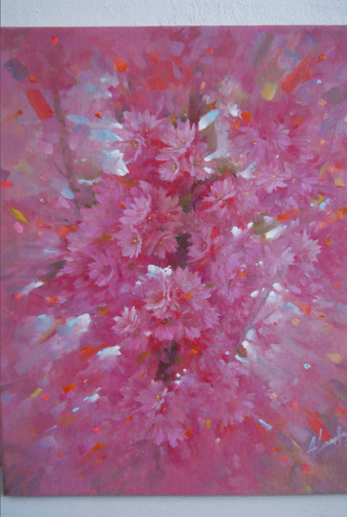 Jární sakura — foto 1