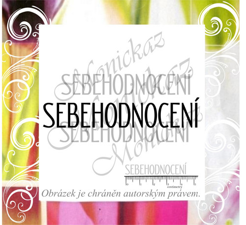 Sebehodnocení 898. Razítko.