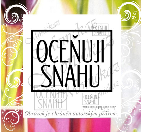 Oceňuji snahu 893. Razítko. — foto 1