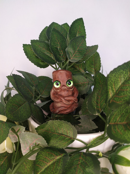 Mandragora 1 - zápich