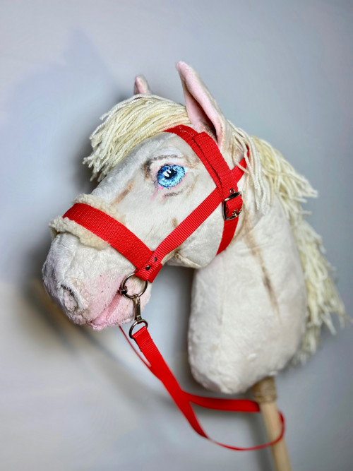 Uzdečka- pro hobby horse — foto 1