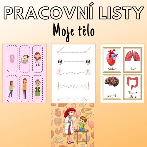 Moje tělo, pracovní listy