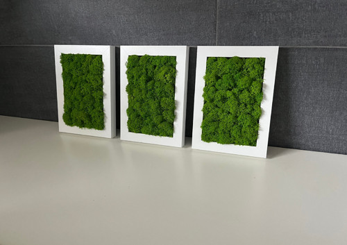 Mechový Obraz – Sada 3 Mini Obrazů — foto 1
