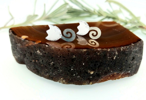 Puzety tulipány