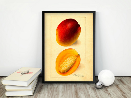 Vintage plakát Mango — foto 1