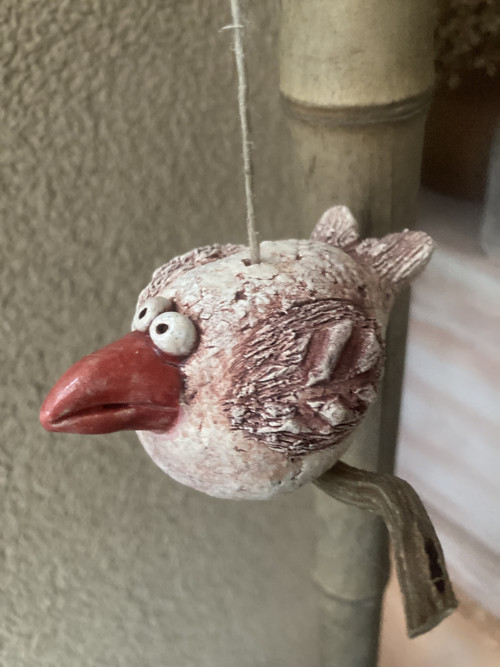 Pták s červeným zobákem — foto 1