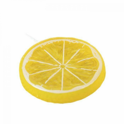 4pc Slice, Piece Lemon D-5cm Slices, Model,