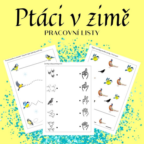 Ptáci v zimě, pracovní listy