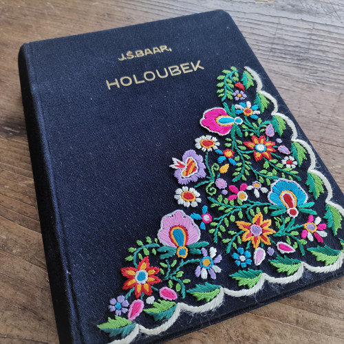 Holoubek — foto 1
