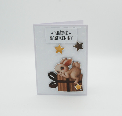 ...k narozeninám č.4304