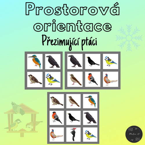 Přezimující ptáci, prostorová orientace