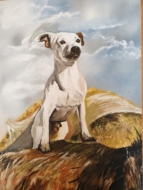 Obraz na přání podle Fotografie - Jack Russell