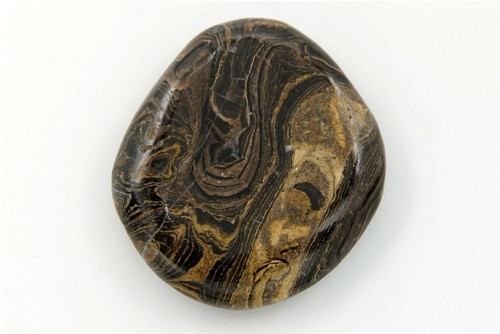 Stromatolit 4,1 cm — foto 1