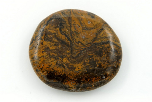Stromatolit 4,1 cm — foto 1