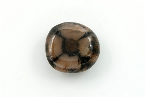 Chiastolit 2 cm — foto 1