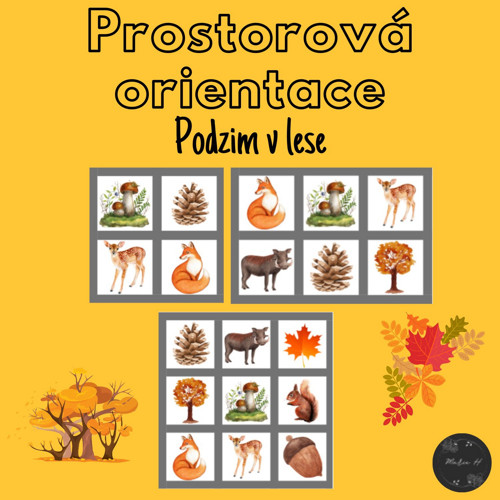 Podzim v lese, prostorová orientace — foto 1