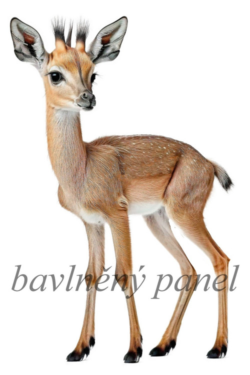 Bavlněný panel MZ 732