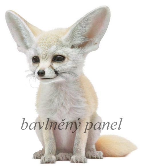 Bavlněný panel MZ 746