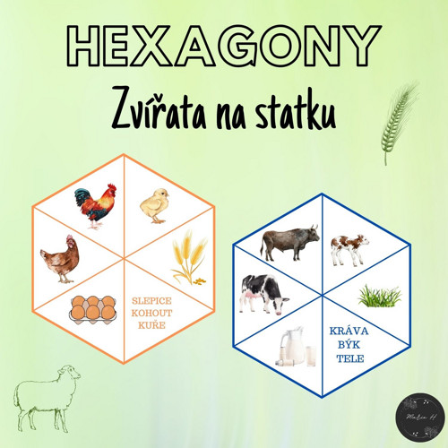 Zvířata na statku, hexagony — foto 1