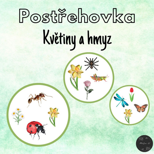 Květiny a hmyz, postřehovka