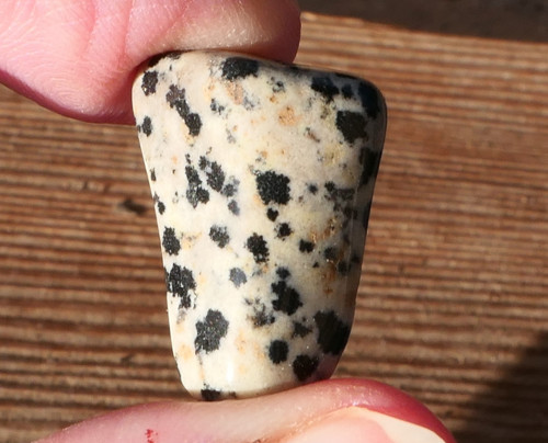 Jaspis dalmatin (22 mm) J8547