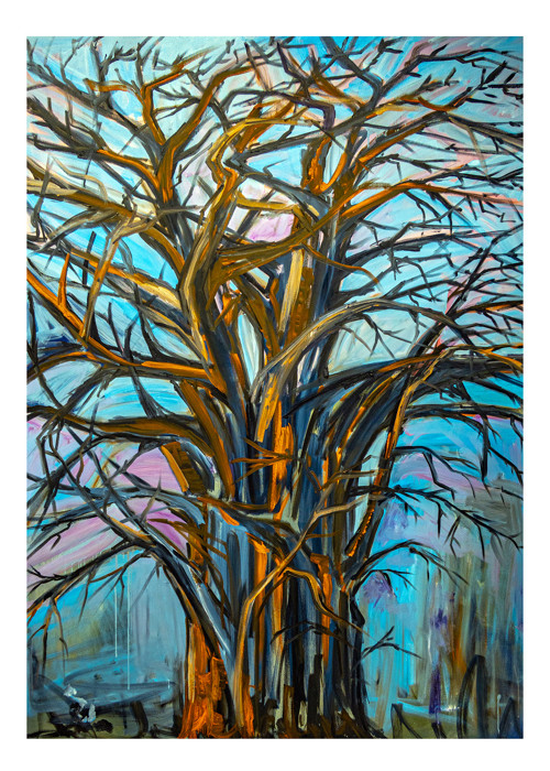 Baobab