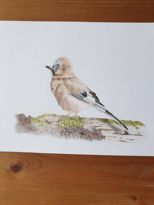 Print: Sojka