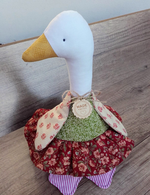 Líza - husa domácí — foto 1