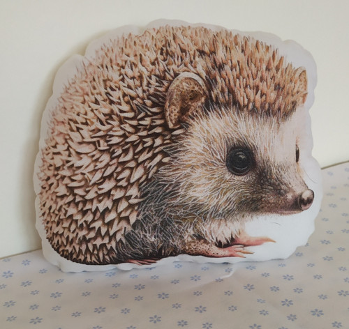 Hajánek 39