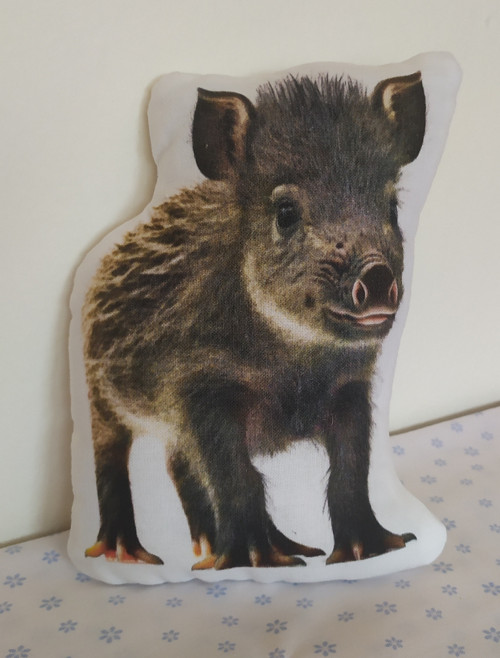 Hajánek 47